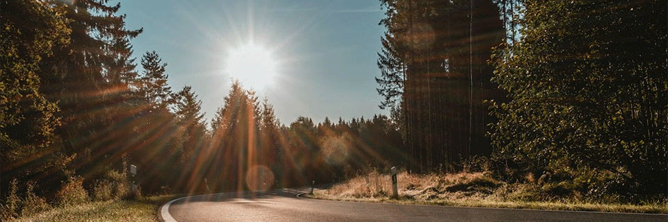 Summer Car Tips - Protecting Your Honda from Sun Damage
